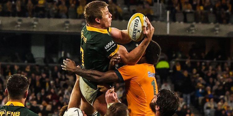 Rugby Championship: Sudáfrica volvió a ratificar su chapa de candidato