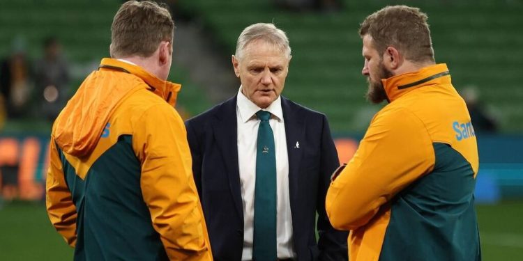 Rugby Championship: El desafío de los Wallabies es tanto mental como físico