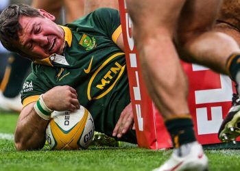 Rugby Championship: Ganarle al campeón del mundo, el plan de los Wallabies