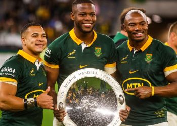 La evolución de los Springboks desde el Mundial