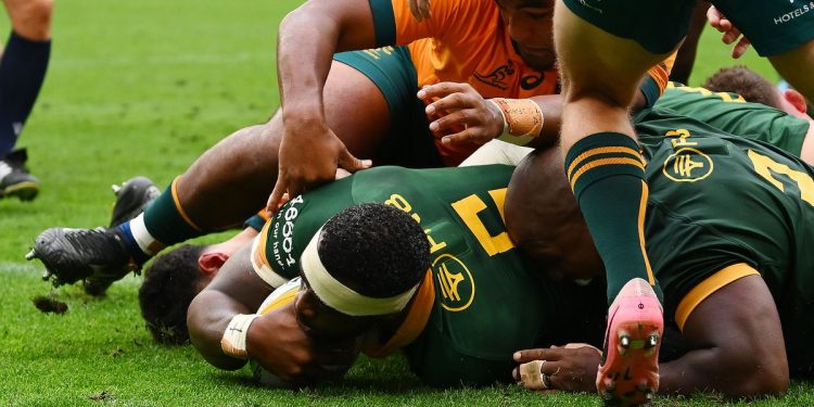 Rugby Championship: Australia fue un trámite para los campeones del mundo
