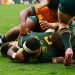 Rugby Championship: Australia fue un trámite para los campeones del mundo