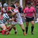 ¡El mejor rugby en Disney+! Agenda completa del fin de semana