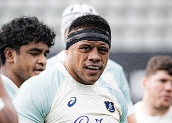 Rugby Championship: Bell y Koroibete regresan a los Wallabies en Perth