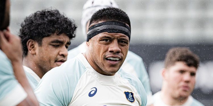Rugby Championship: Bell y Koroibete regresan a los Wallabies en Perth