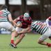 ¡El mejor rugby en Disney+! Agenda completa del fin de semana
