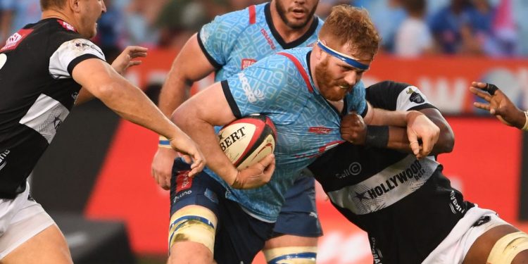 Currie Cup: Lions y Sharks XV jugarán la final