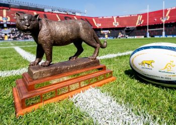¡Los números del Rugby Championship!