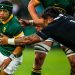 ¿Cómo los Springboks pueden ganar el Rugby Championship con dos fechas por jugar?