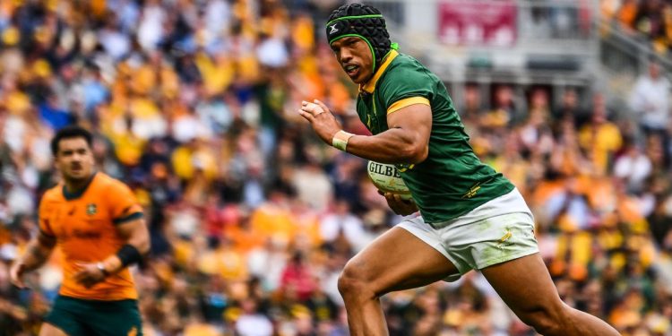 Rugby Championship: 10 cambios tendrán los Springboks frente a Los Pumas