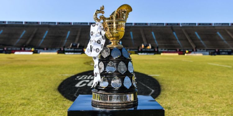 Currie Cup 2024: Lions y Sharks XV con la mirada puesta en levantar el máixmo trofeo