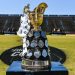 Currie Cup 2024: Lions y Sharks XV con la mirada puesta en levantar el máixmo trofeo