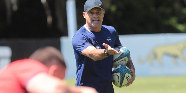 Nicolás Fernández Miranda es el nuevo head coach de Los Pumitas