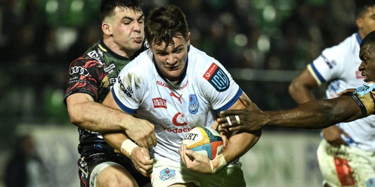 United Rugby Championship: Ganaron Bulls y Scarlets en el inicio de la octava fecha