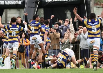 Bunnings NPC: Wellington y Bay Of Plenty jugarán la final