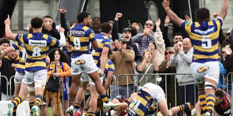 Bunnings NPC: Wellington y Bay Of Plenty jugarán la final