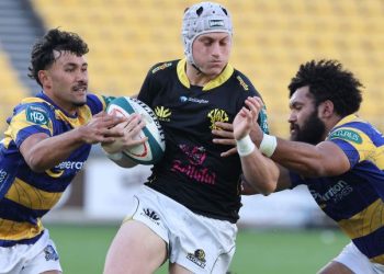 Bunnings NPC: Wellington y Bay Of Plenty definen quién será el campeón