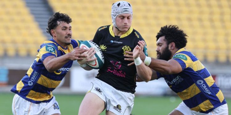 Bunnings NPC: Wellington y Bay Of Plenty definen quién será el campeón