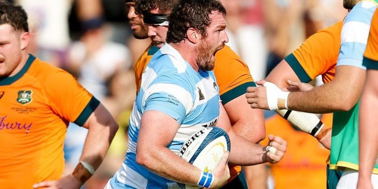 Rugby Championship: Australia confirmó las sedes para 2025