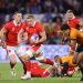 Autumn Nations Series: Gatland y Schmidt juegan bajo la presión de ganar
