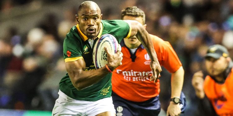 Autumn Nations Series: Sudáfrica no dejó dudas en Murrayfield