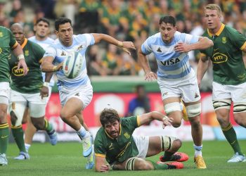 Los Springboks tienen confirmado el calendario 2025