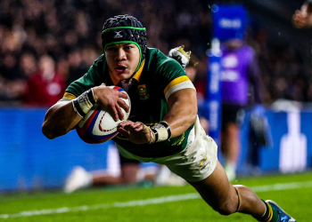 Autumn Nations Series: Los Springboks pusieron contra las cuerdas a  Borthwick 