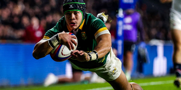Autumn Nations Series: Los Springboks pusieron contra las cuerdas a  Borthwick