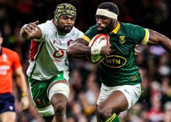 Autumn Nations Series: Sudáfrica profundizó la crisis de Gales