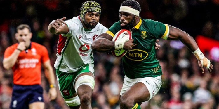 Autumn Nations Series: Sudáfrica profundizó la crisis de Gales