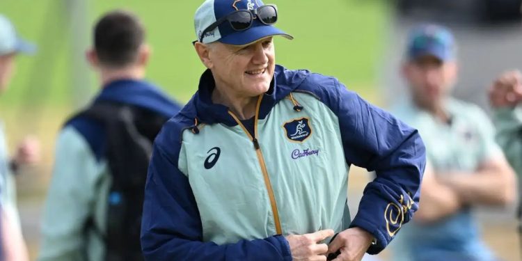 Joe Schmidt próximamente conocerá su futuro en el rugby australiano