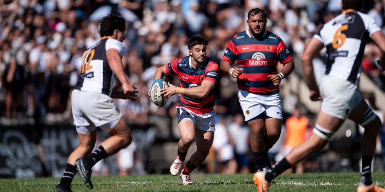 Súper Rugby Américas: Tarucas confirmó su plantel con algunas sorpresas