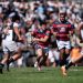 Súper Rugby Américas: Tarucas confirmó su plantel con algunas sorpresas