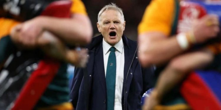¿Sigue o no Joe Schmidt al frente de los Wallabies?
