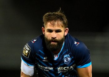 United Rugby Championship: Stormers ficha al medio scrum de los Springboks