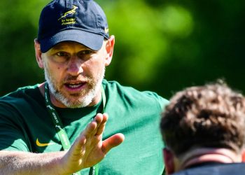 En Sudáfrica ya trabajan con los Springboks de la próxima generación