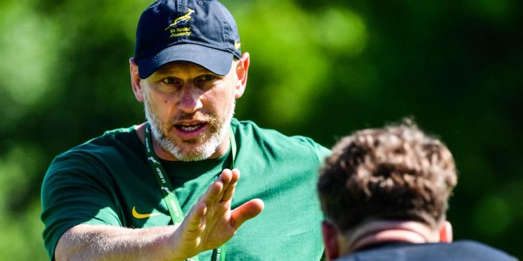 En Sudáfrica ya trabajan con los Springboks de la próxima generación