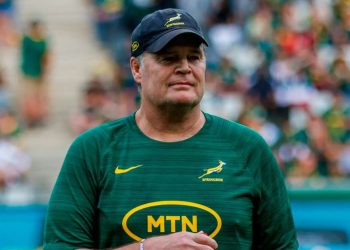 ¿Rassie Erasmus podría dejar los Springboks o no?