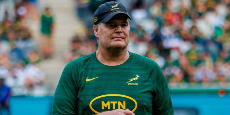 ¿Rassie Erasmus podría dejar los Springboks o no?