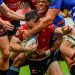 United Rugby Championship: Emirates Lions y Hollywoodbets Sharks se quedaron con los derbi en Sudáfrica