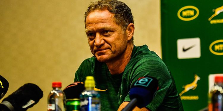 Entrenador de los Boks se incorpora a una franquicia de Nueva Zelanda