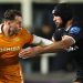 Premiership: Sale Sharks y Northampton abren la fecha