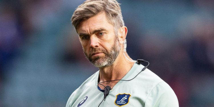 Michael Cheika ya conoce a su reemplazante en Leicester Tigers