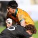 Rugby Championship M20: Australia empató de manera agónica ante Nueva Zelanda