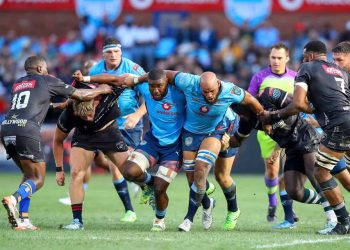 URC Semifinales: Vodacom Bulls y Hollywoodbets Sharks, a todo o nada en Pretoria