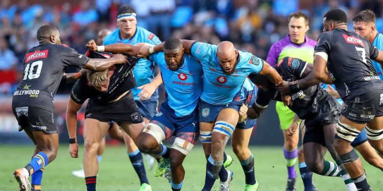 URC Semifinales: Vodacom Bulls y Hollywoodbets Sharks, a todo o nada en Pretoria