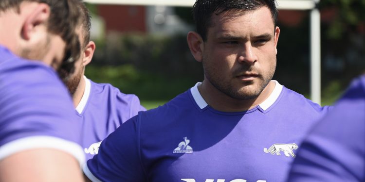Los Pumas: ¿Felipe le dará minutos a los nuevos convocados frente a los Lions?