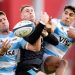 Ventana de julio: Inglaterra no dejó dudas ante Los Pumas en La Plata