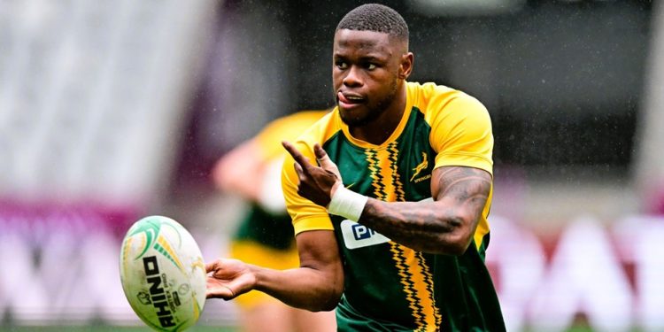 Los Springboks buscan consolidar su racha ante Georgia en Nelspruit