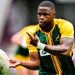 Los Springboks buscan consolidar su racha ante Georgia en Nelspruit
